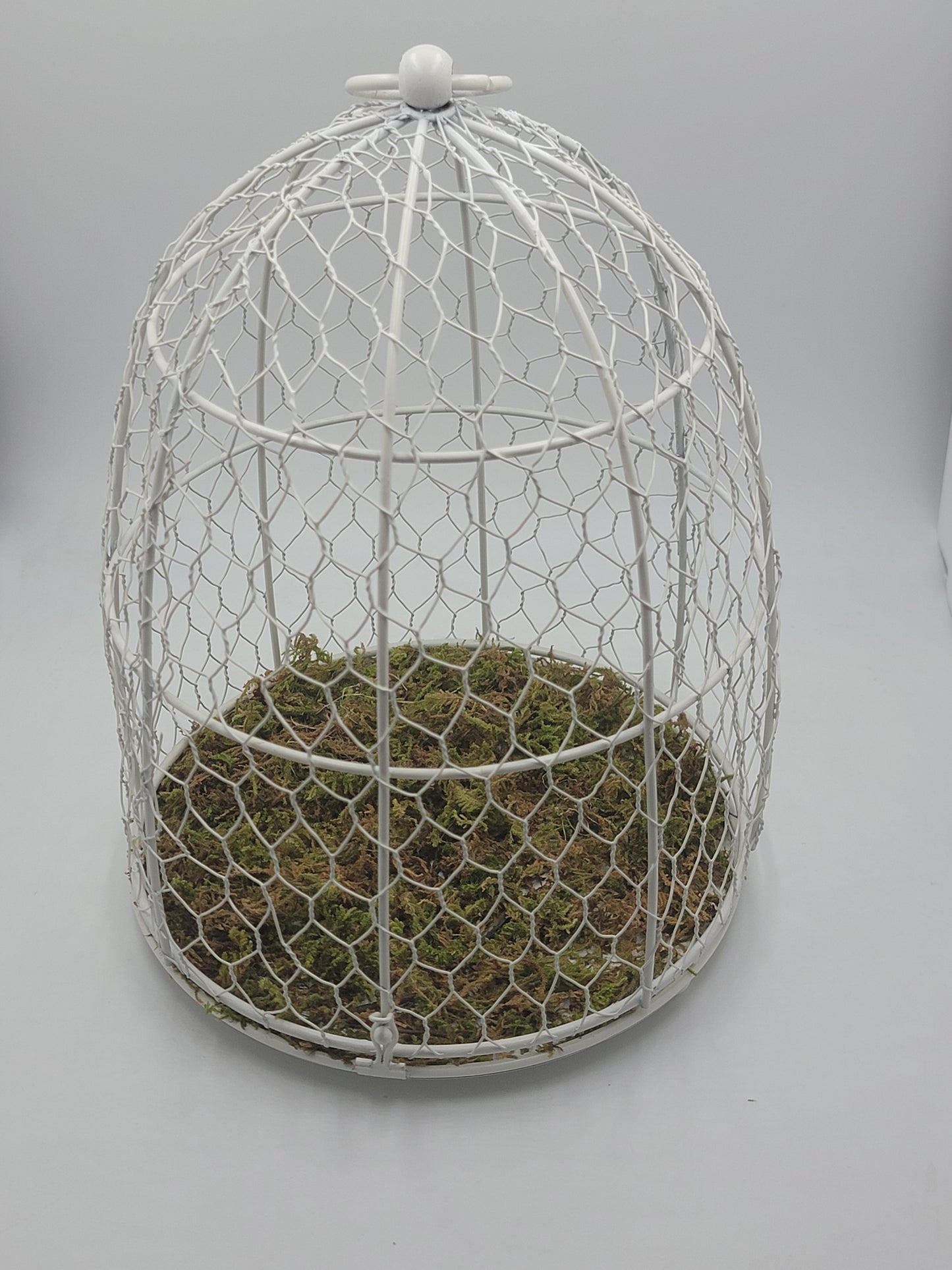 Moss Dome Bird Cage